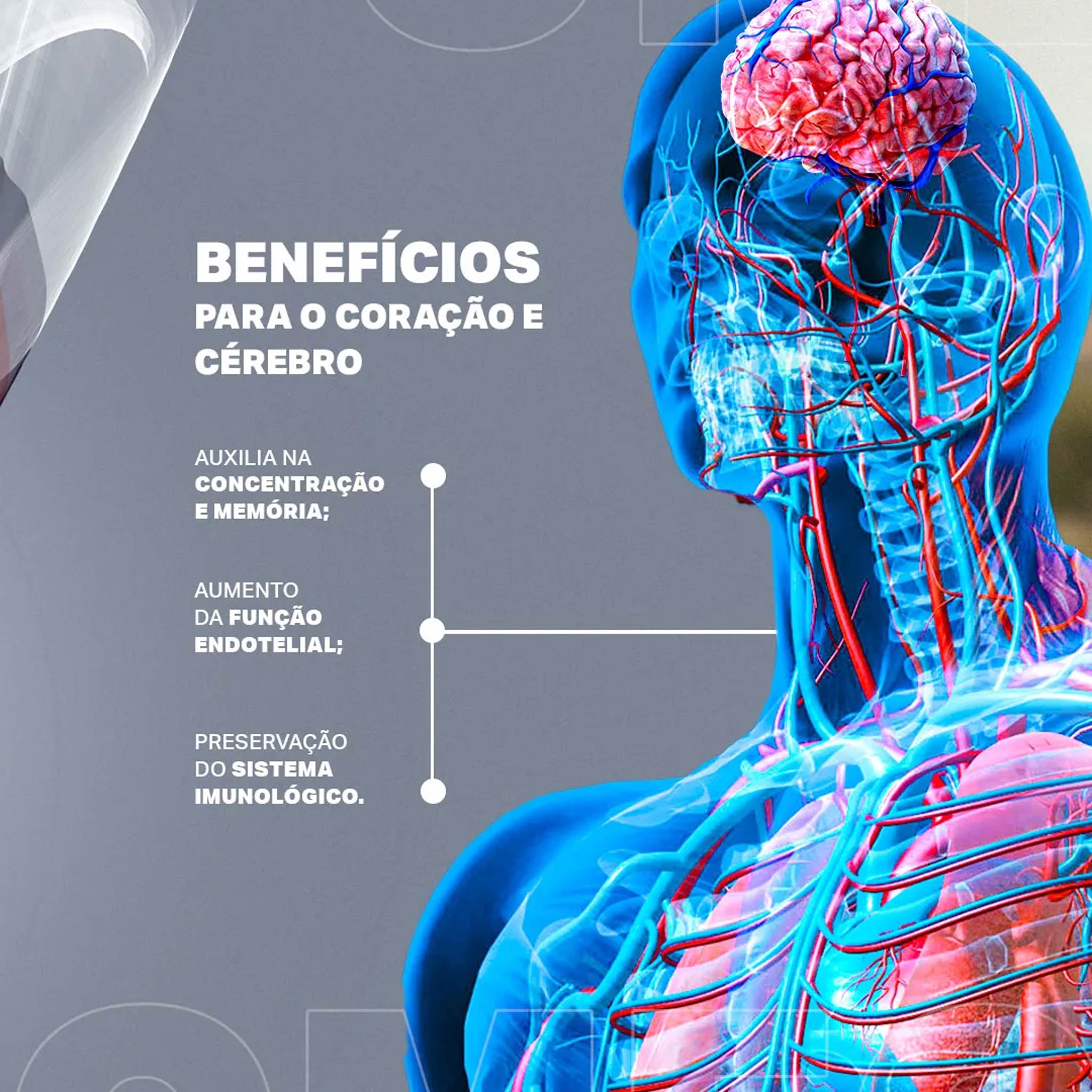 ÔMEGADOP NEURO 60 Cápsulas