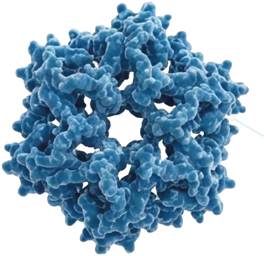 Proteína do soro com a estrutura nativa preservada