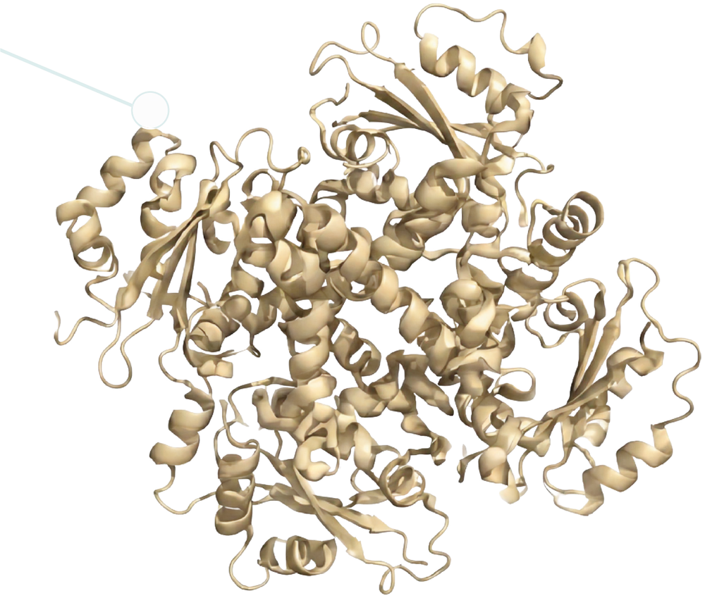 Proteína desnaturada, com a forma tridimensional alterada