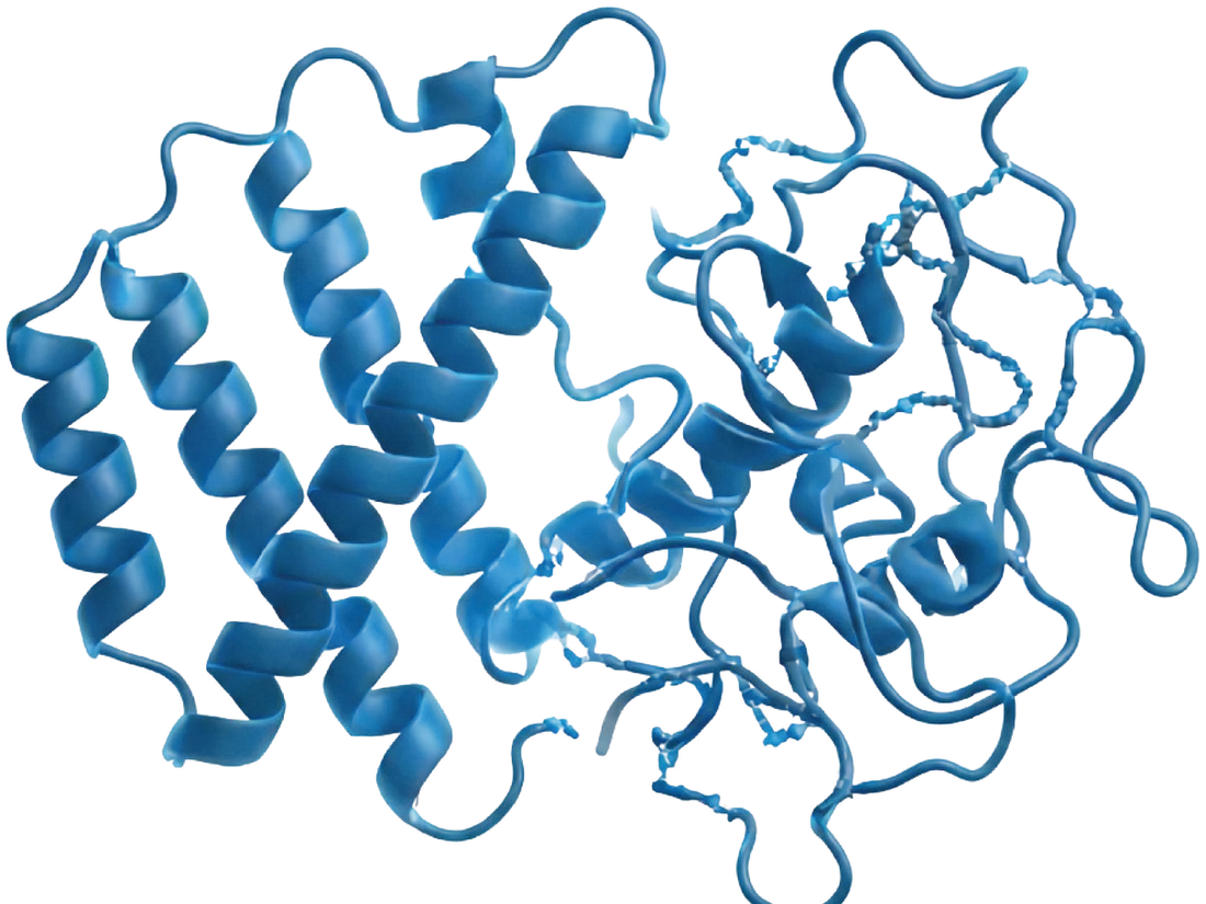 Estrutura tridimensional de uma proteína do soro